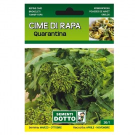 CIME-DI-RAPA-QUARANTINA 